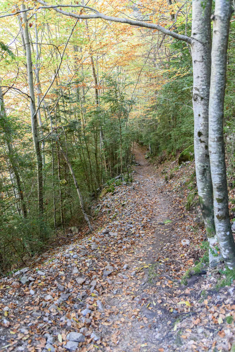 Huesca - parque nacional de Ordesa y Monte Perdido - valle de Añisclo 80 - cañon de Añisclo - sendero.jpg